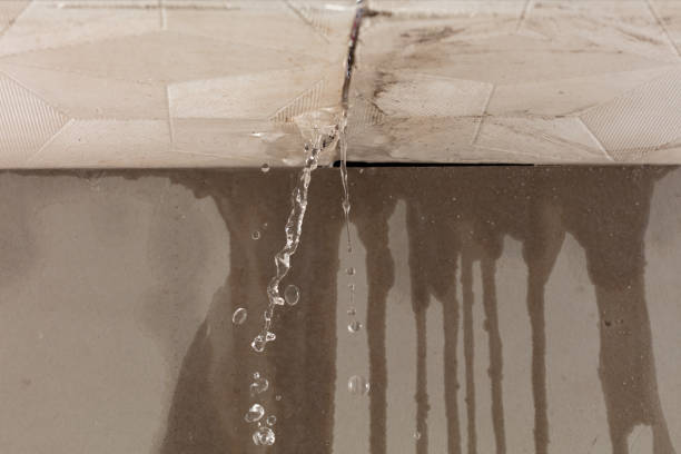 Professional Sewage Cleanup technician working in New Knoxville, OH